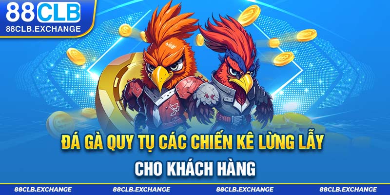 Đá gà quy tụ các chiến kê lừng lẫy cho khách hàng